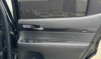 Hyundai Palisade full